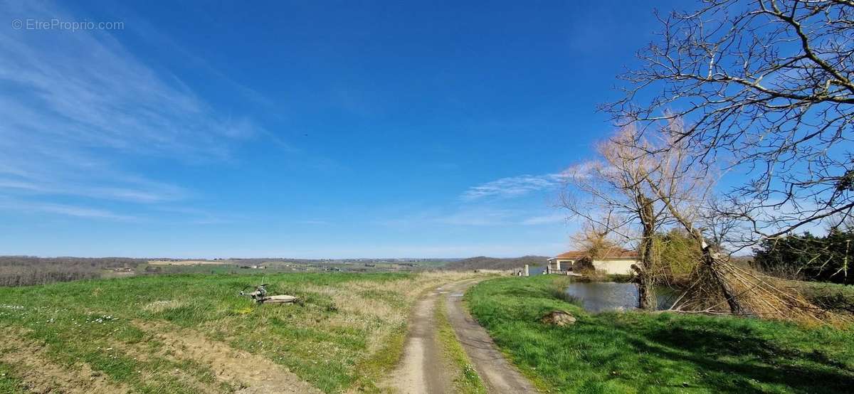 Terrain à MIRANDE