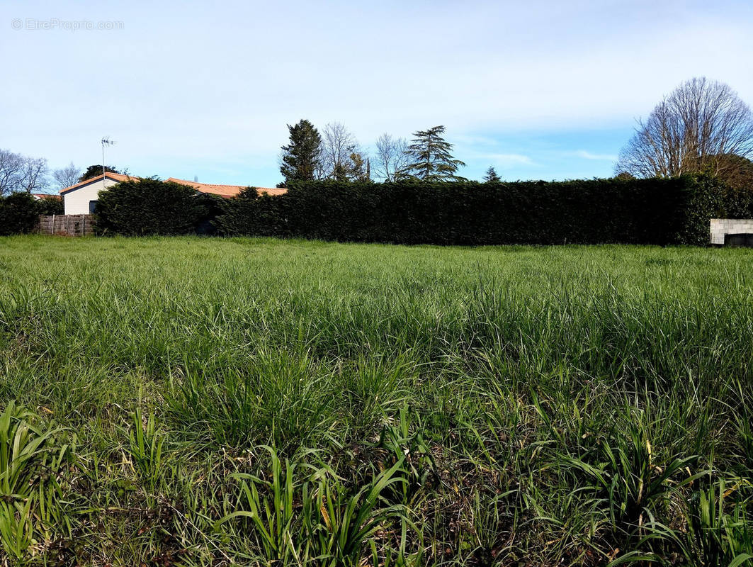 Terrain à COMMEQUIERS