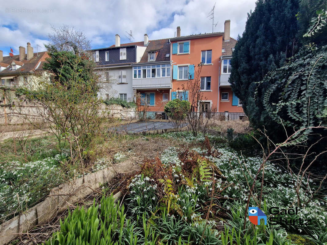 Terrain à STRASBOURG