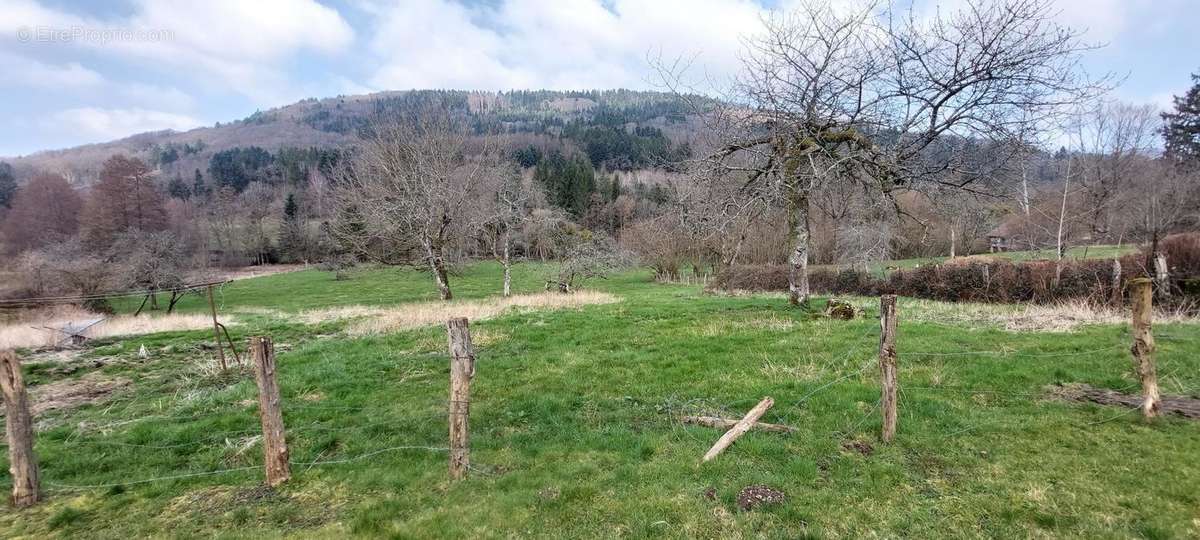 Maison à BELFORT