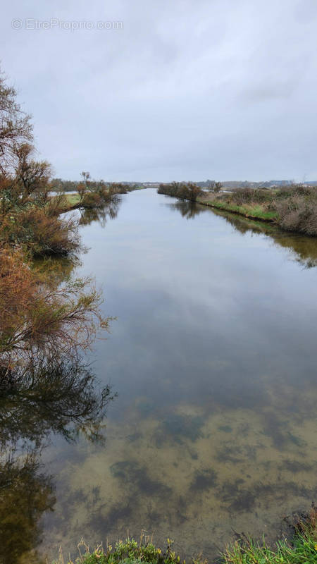 Terrain à SAINT-HILAIRE-DE-RIEZ