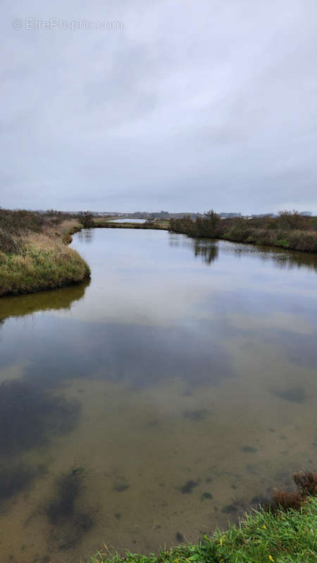 Terrain à SAINT-HILAIRE-DE-RIEZ