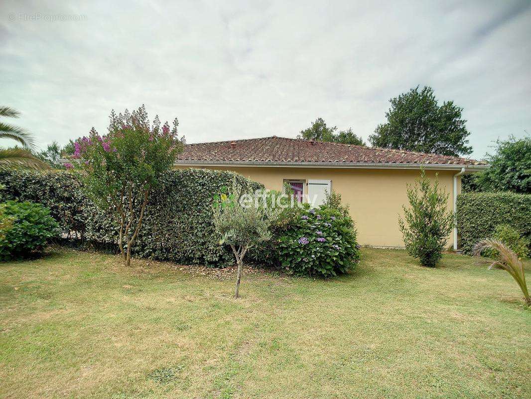 Maison à SAINTE-EULALIE-EN-BORN