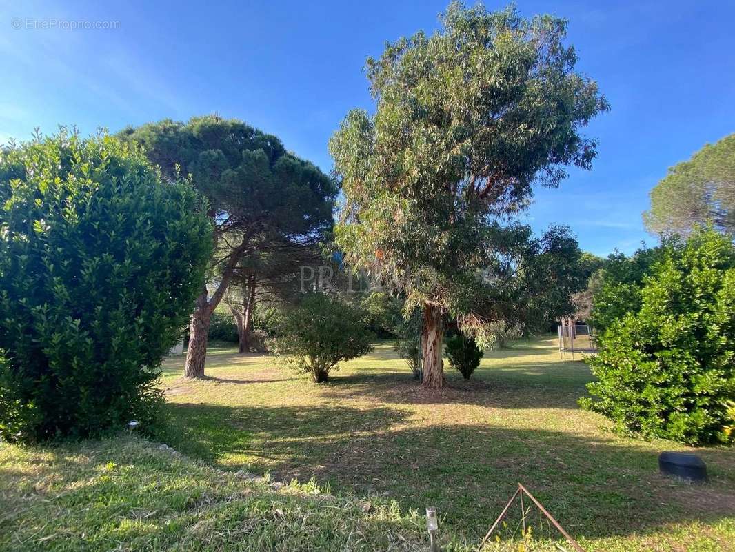 Maison à ROQUEBRUNE-SUR-ARGENS