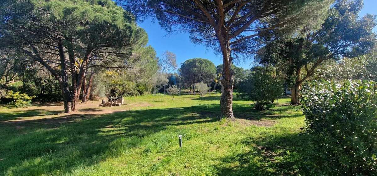 Maison à ROQUEBRUNE-SUR-ARGENS