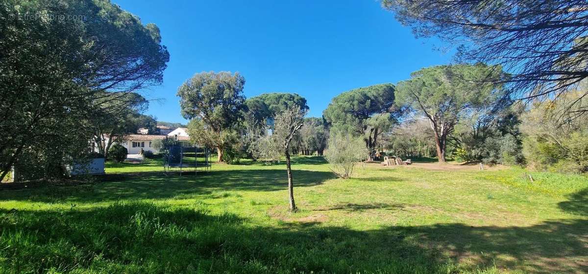 Maison à ROQUEBRUNE-SUR-ARGENS