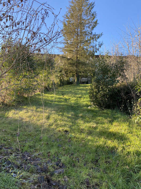 jardin - Maison à CHALAIS