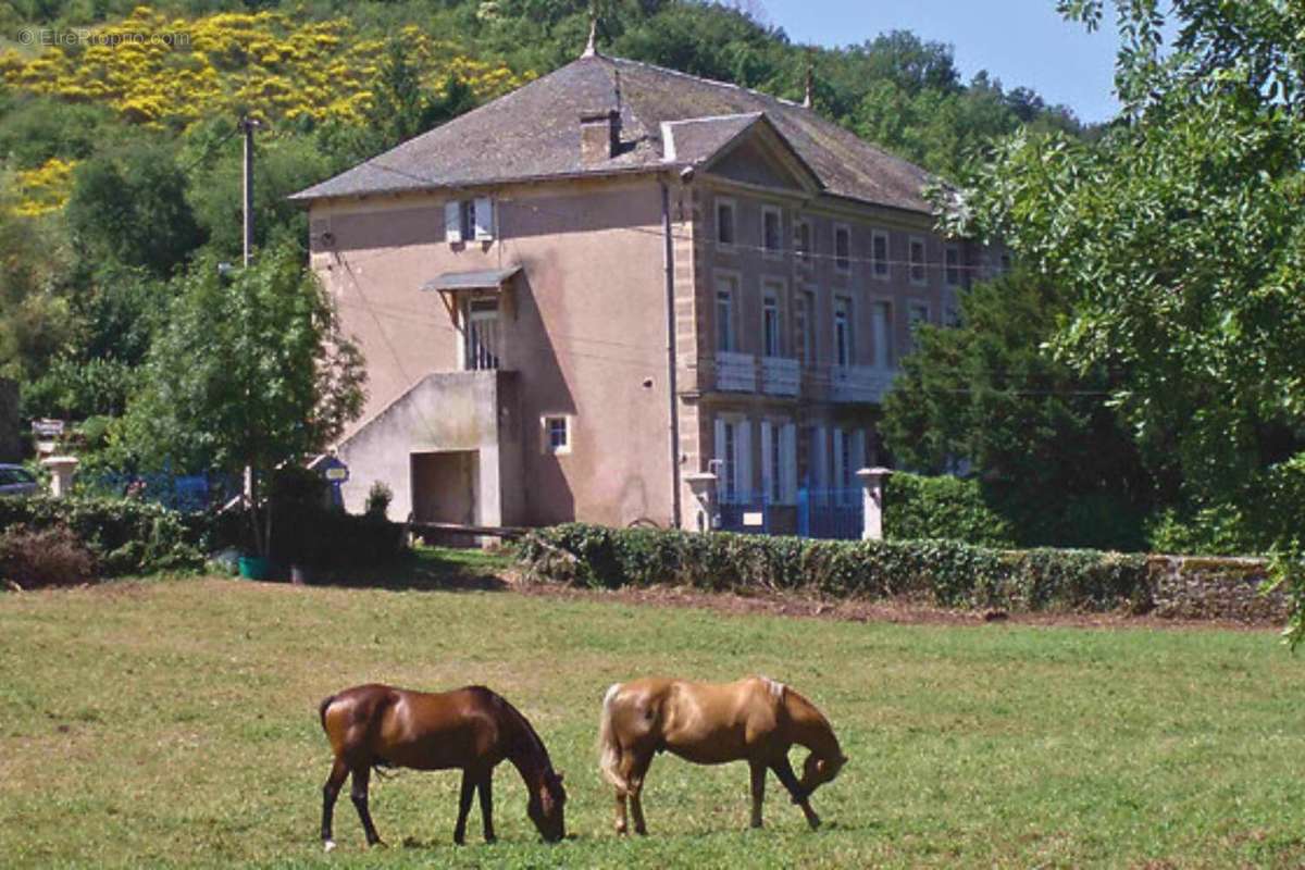 Photo 3 - Maison à MILLAU