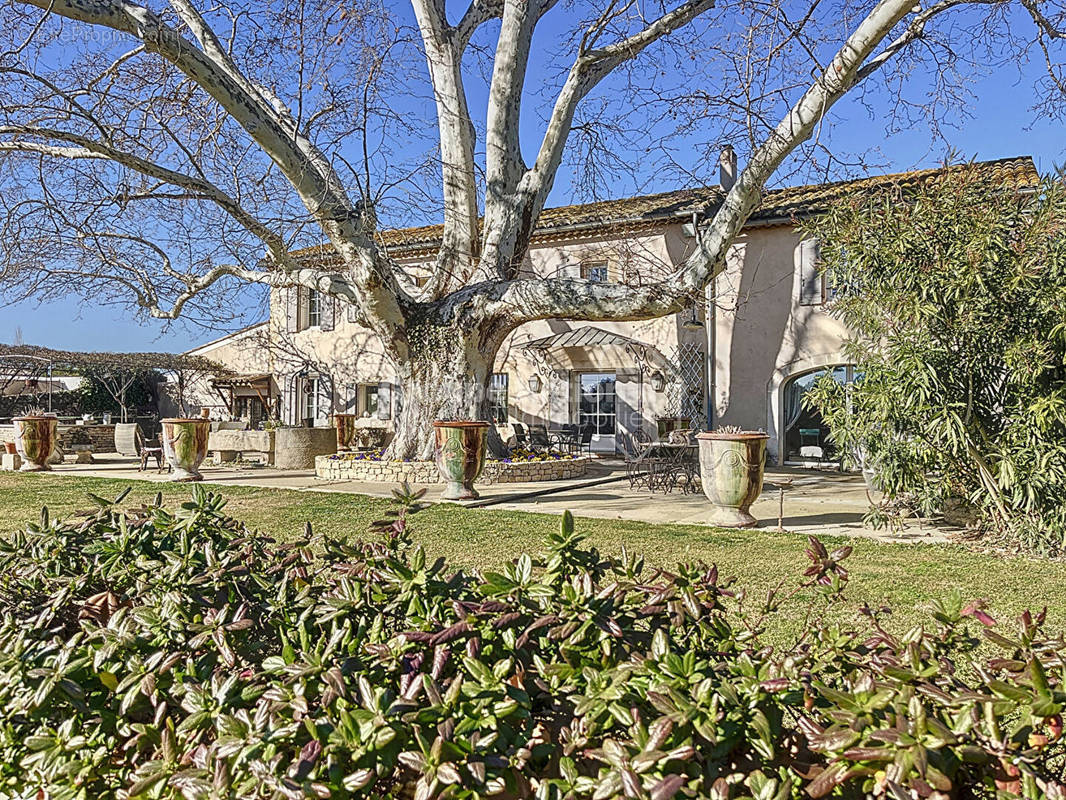 Maison à CAVAILLON