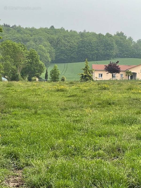 Terrain à POMMIER-DE-BEAUREPAIRE