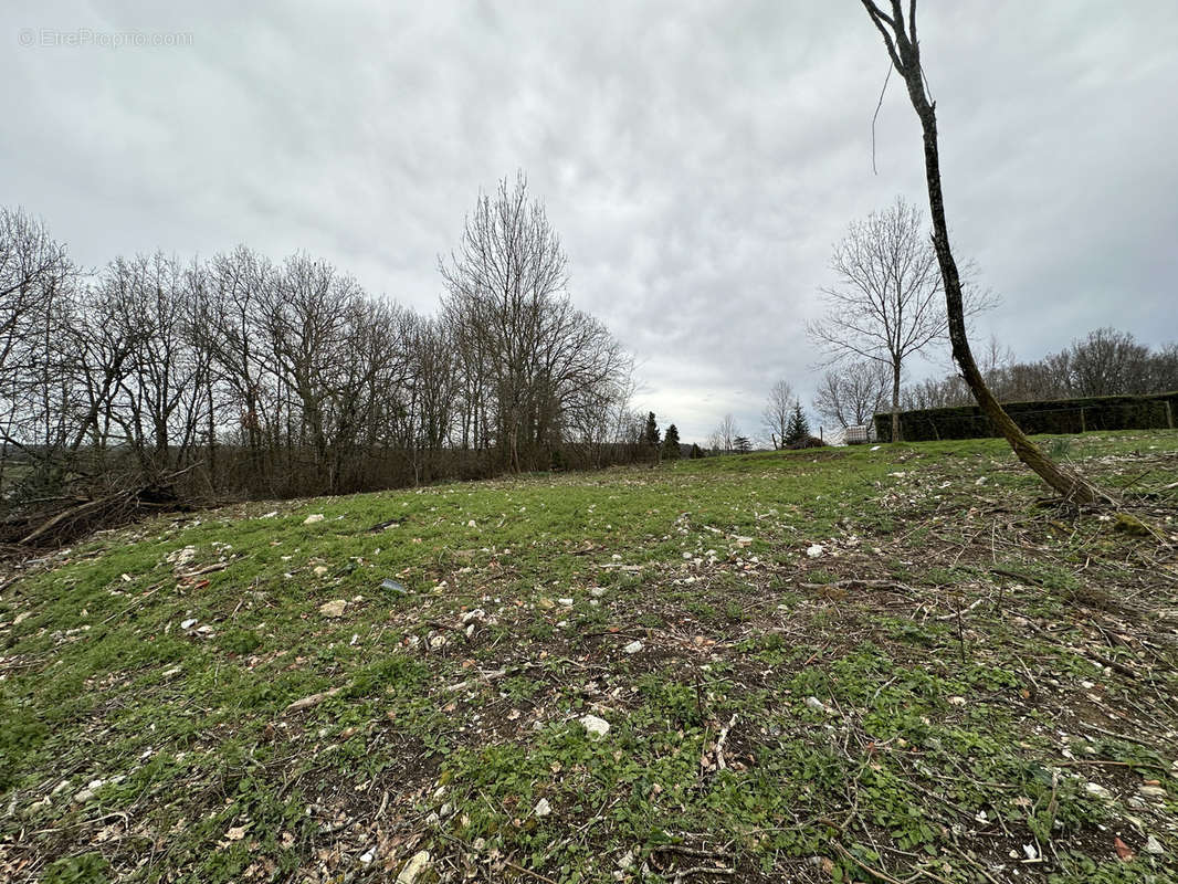 Terrain à LA CROIX-BLANCHE