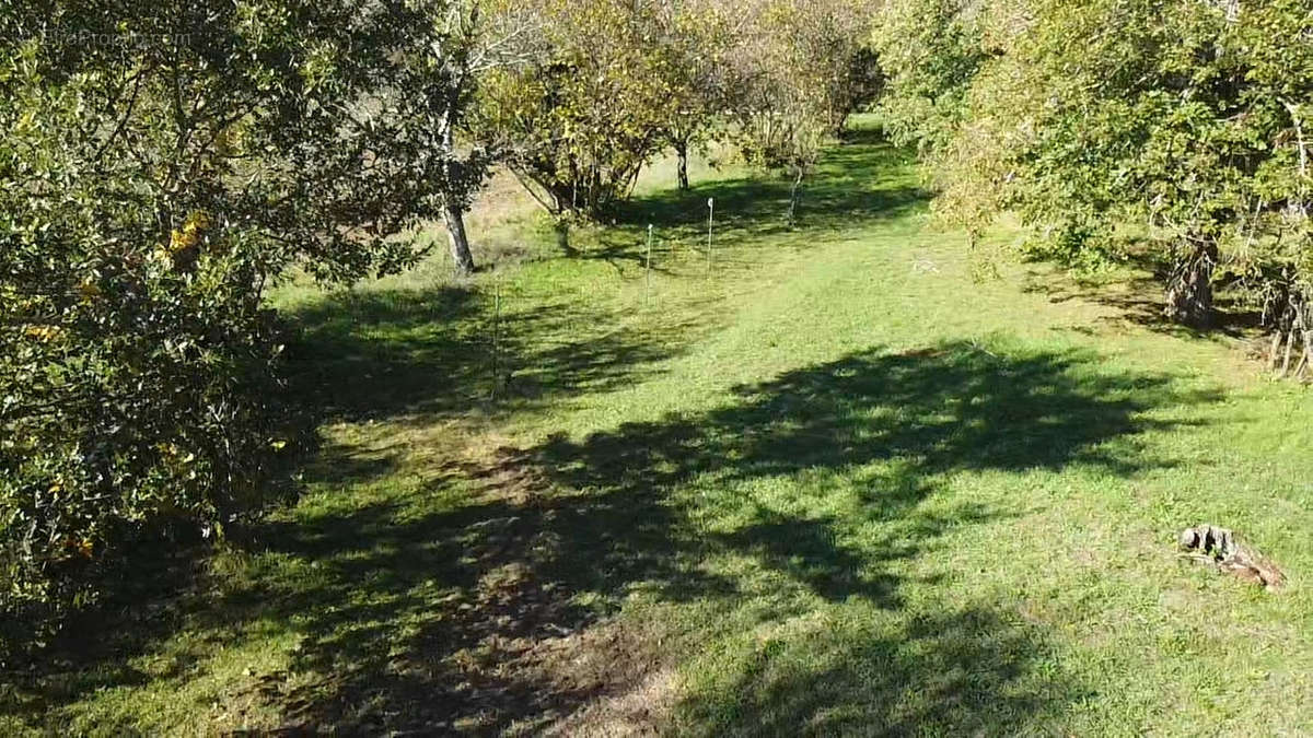 Terrain à L&#039;ISLE-JOURDAIN