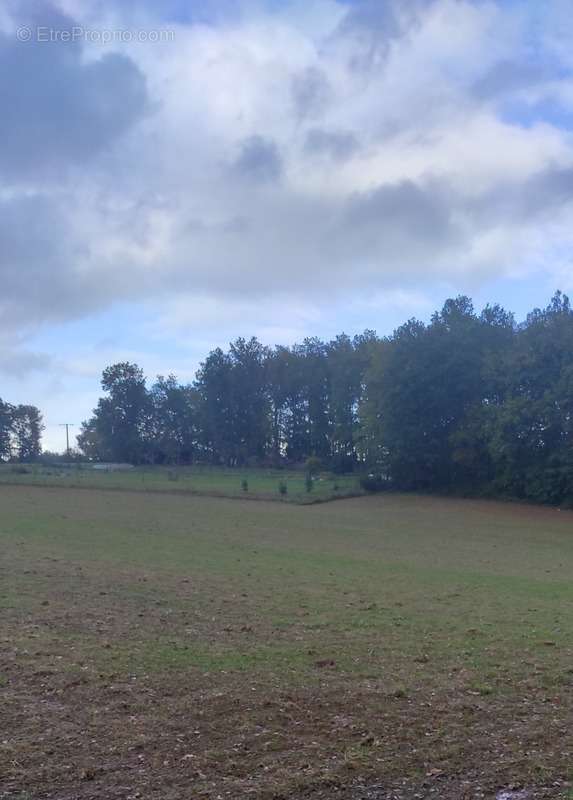 Terrain à TOURTOIRAC