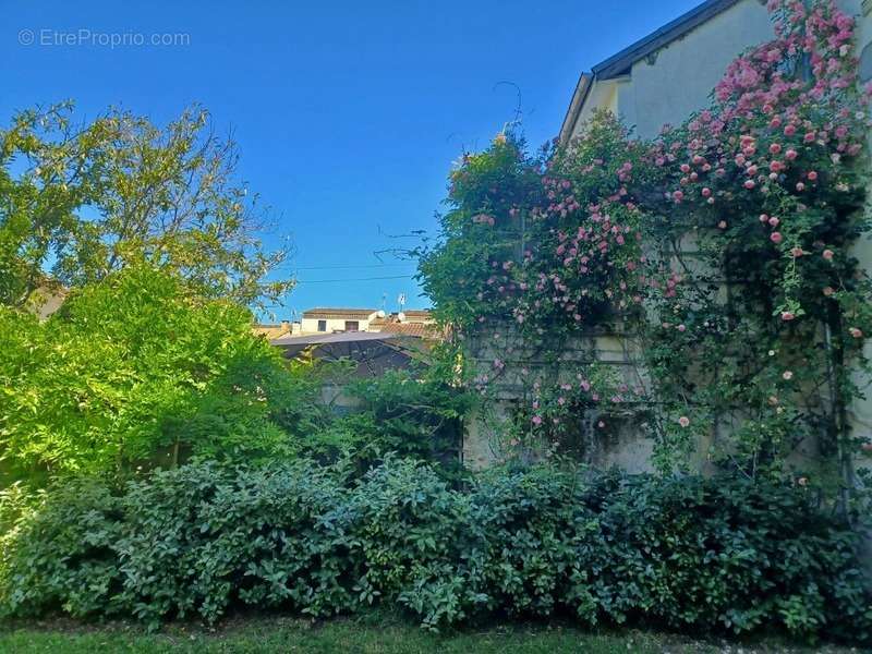 Maison à CAHORS