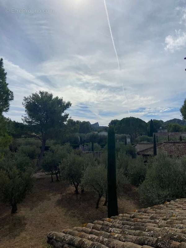 Maison à SAINT-REMY-DE-PROVENCE