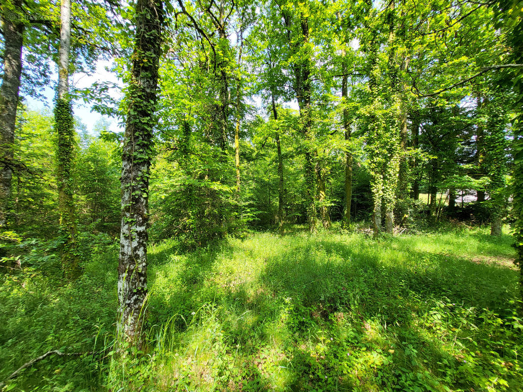 Terrain à LATRONQUIERE