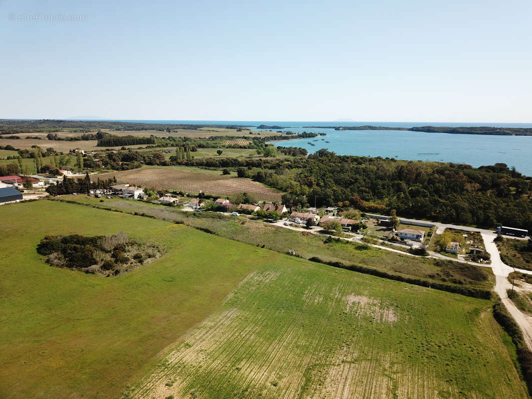 Terrain à ALERIA