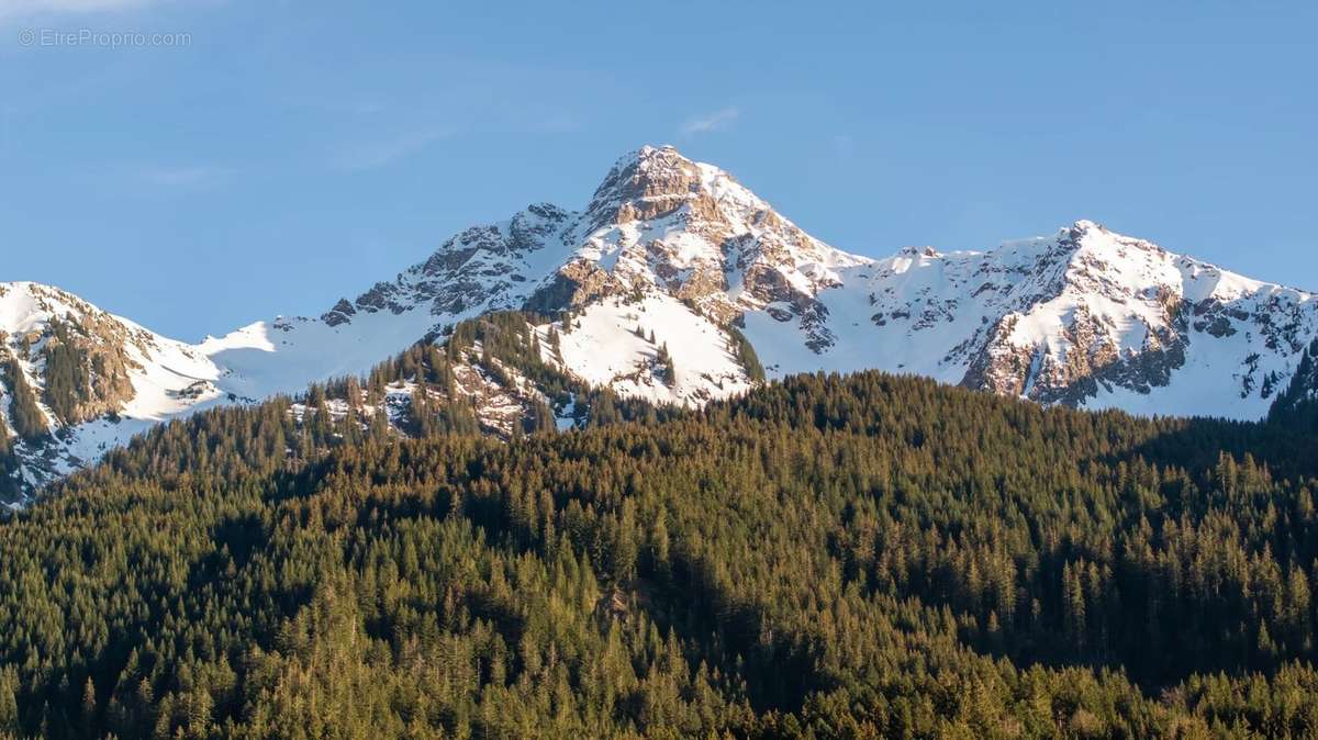 Terrain à ABONDANCE