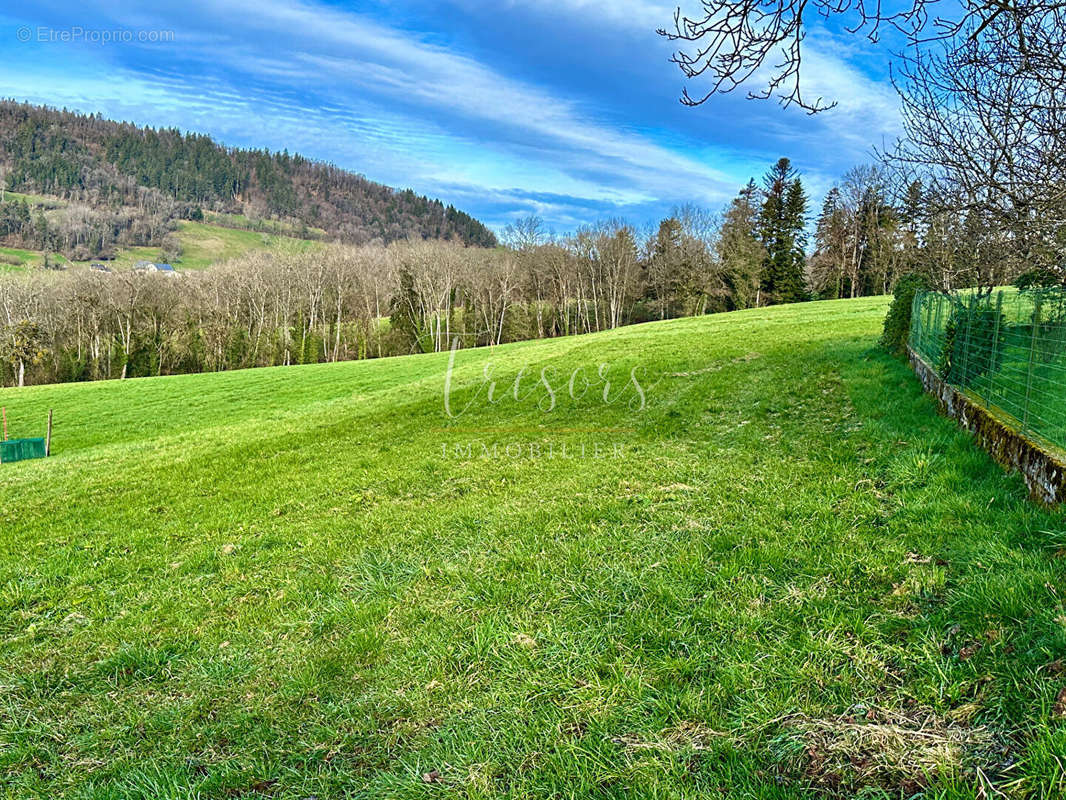 Terrain à CHAPEIRY