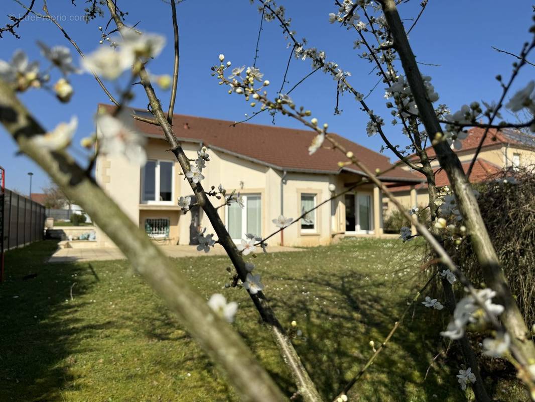 Maison à THIONVILLE