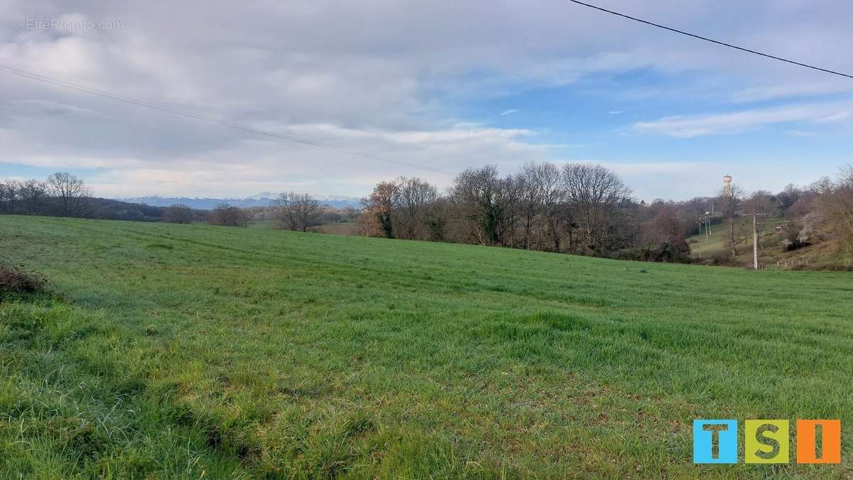 Terrain à CASSAGNABERE-TOURNAS