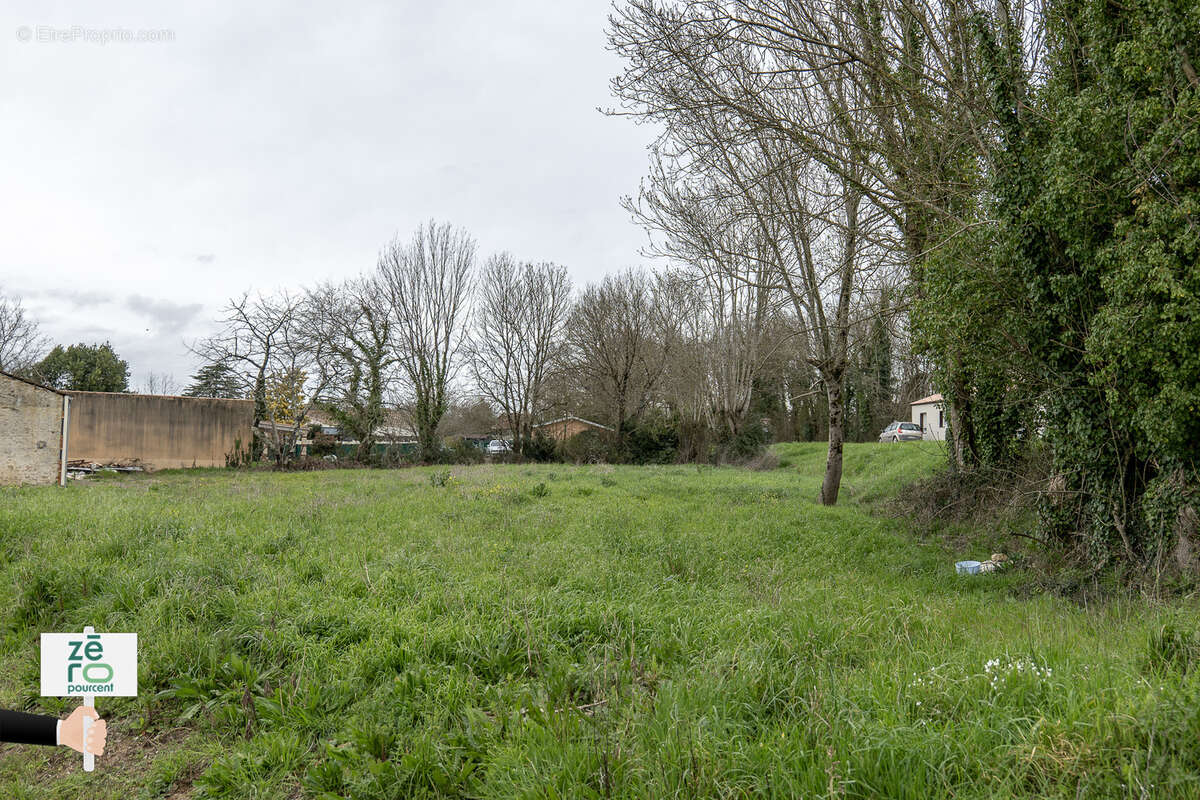 Terrain à LE CHAMP-SAINT-PERE