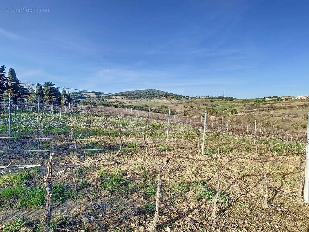 Terrain à LIMOUX