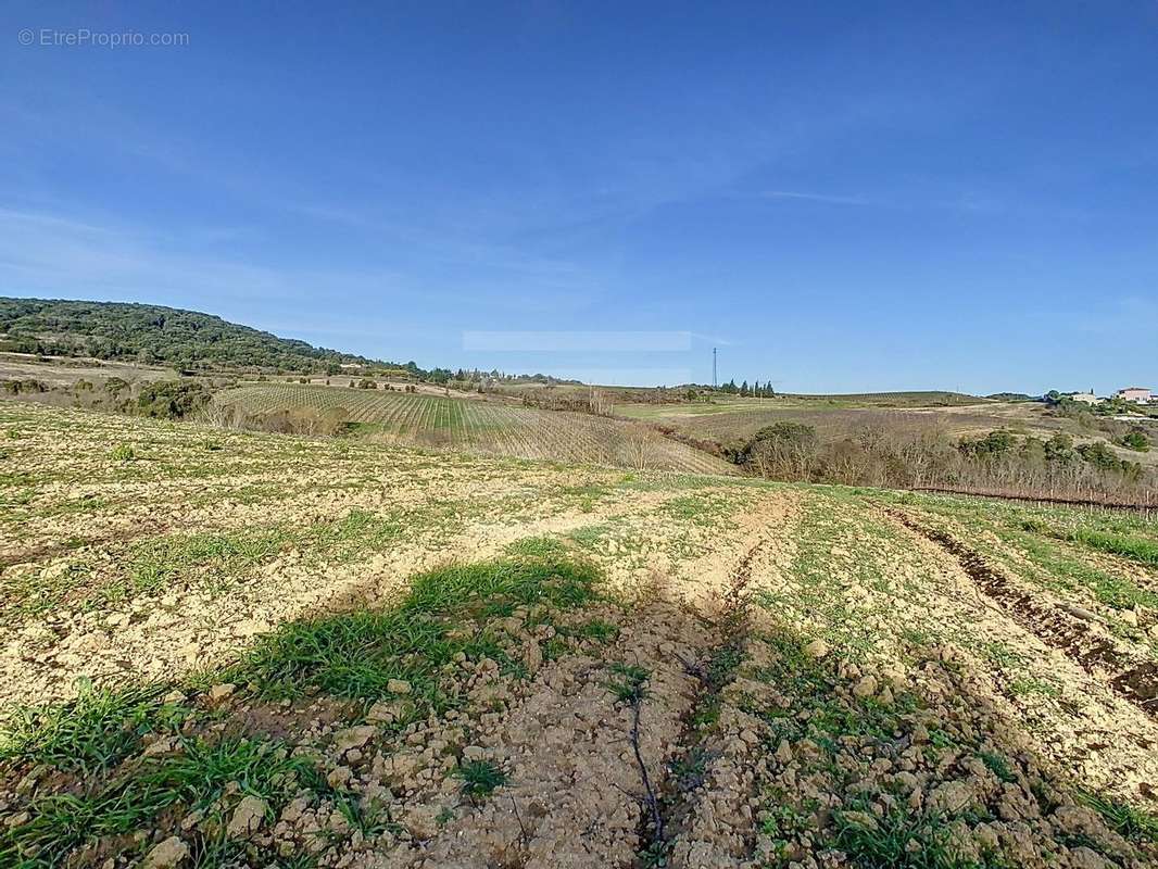 Terrain à LIMOUX