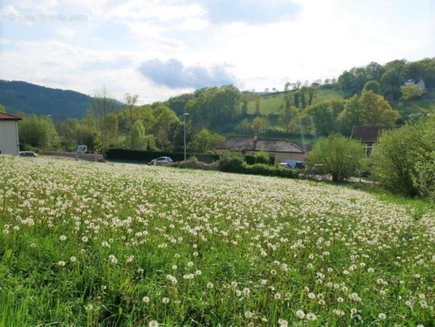 Terrain à LIVINHAC-LE-HAUT