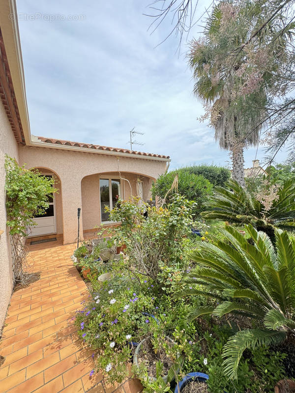 Maison à CANET-EN-ROUSSILLON