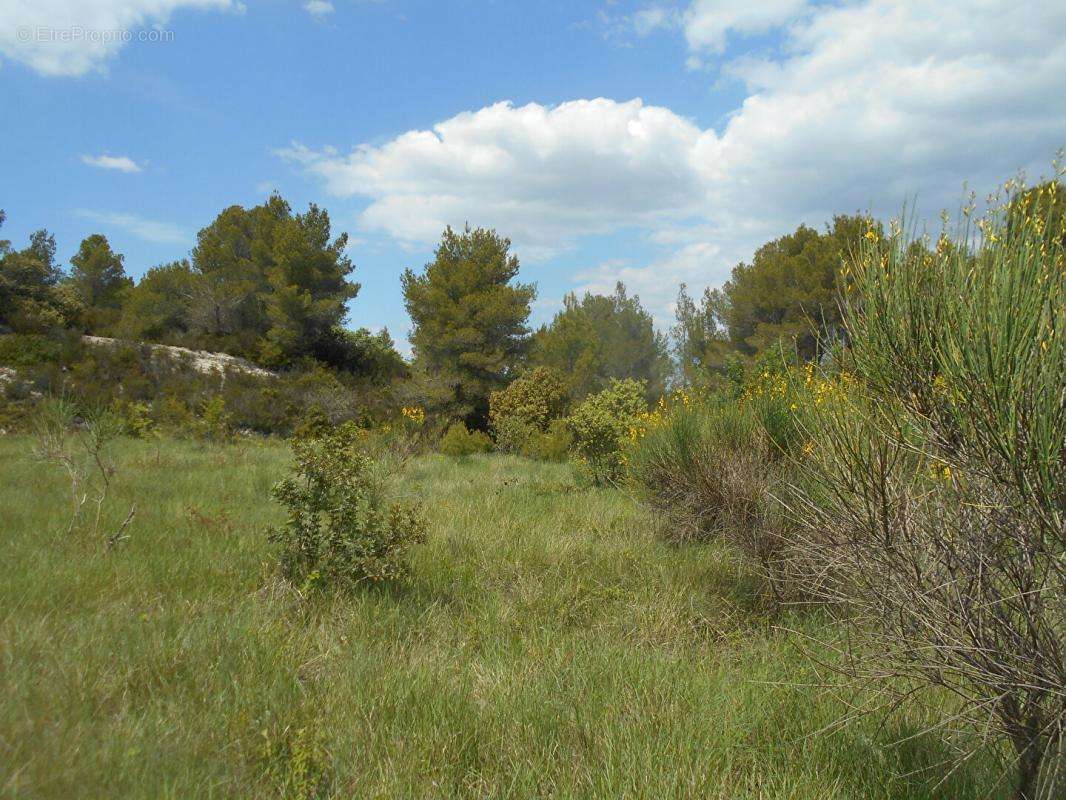 Terrain à SAINT-PONS-DE-MAUCHIENS