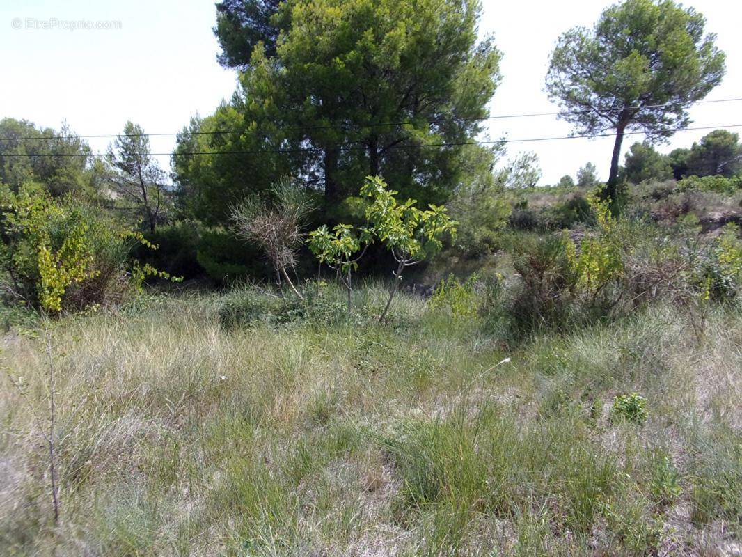 Terrain à SAINT-PONS-DE-MAUCHIENS