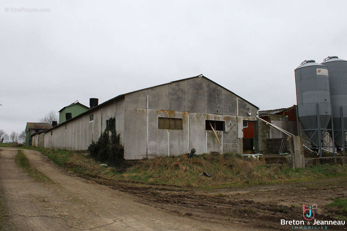 Maison à LEVARE