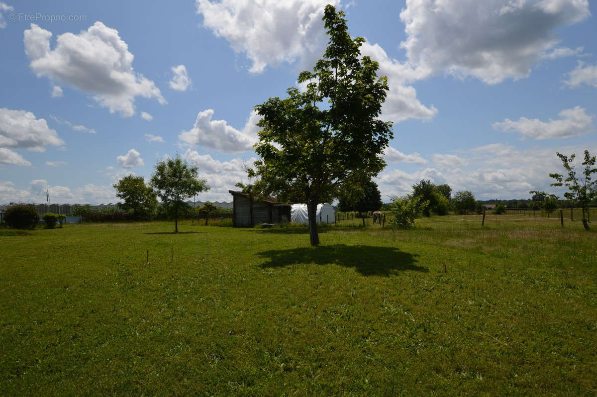 Maison à TAILLECAVAT