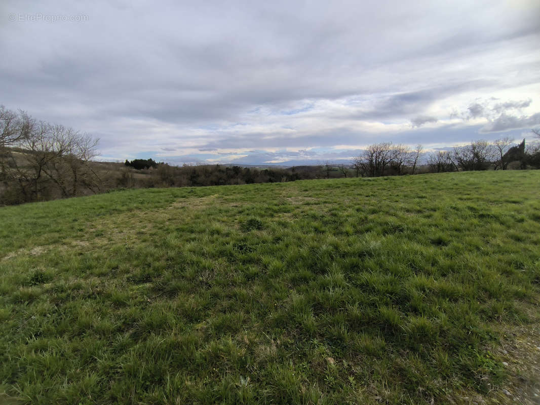 Terrain à LABECEDE-LAURAGAIS