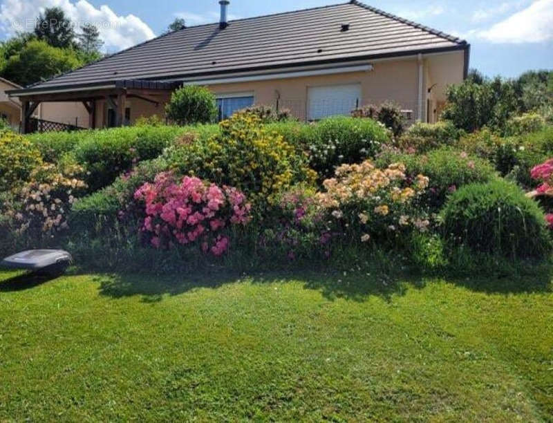 Maison à MALEMORT-SUR-CORREZE