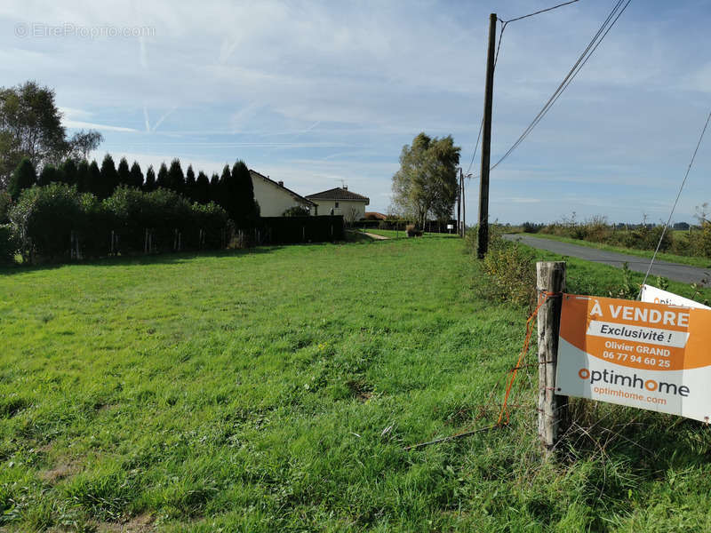 Terrain à SAINT-JUNIEN