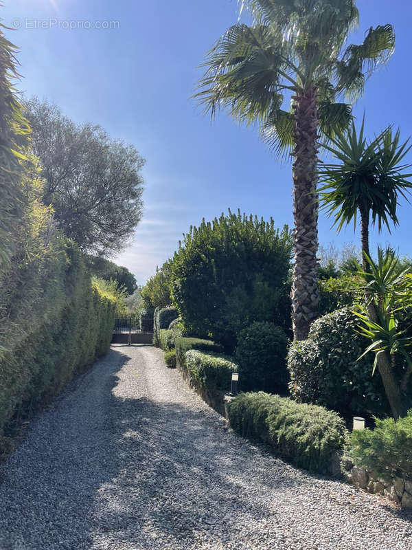 Maison à GRIMAUD