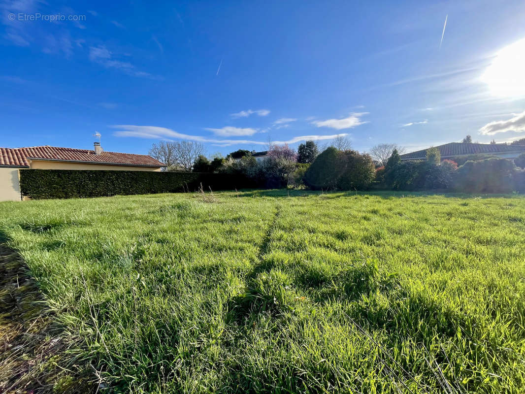 Terrain à LAVAUR