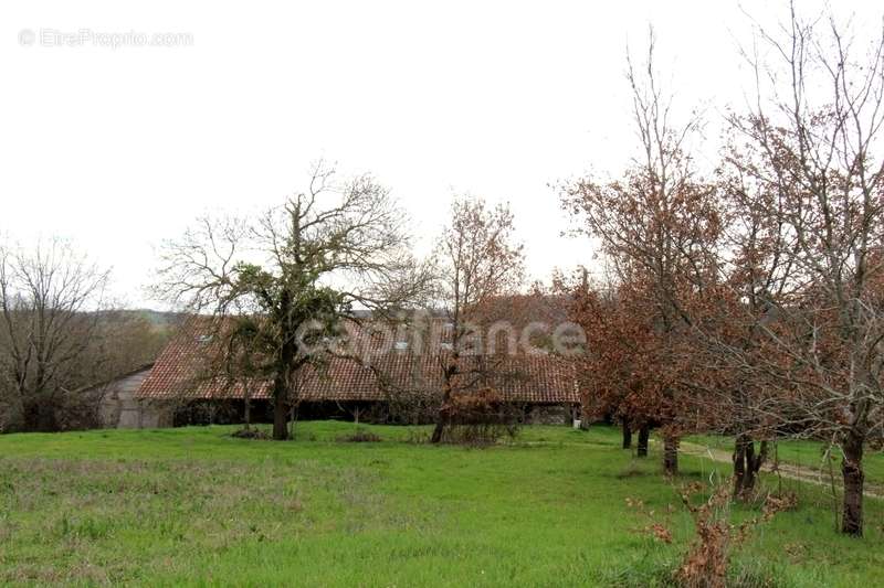 Maison à BEAUMONT-DE-LOMAGNE