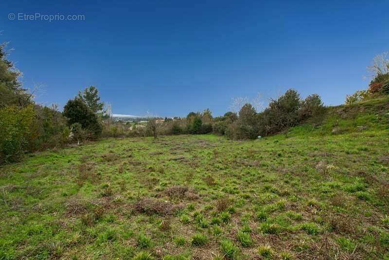 Terrain à CAUNES-MINERVOIS