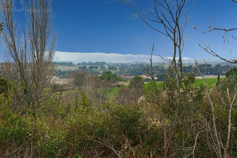 Terrain à CAUNES-MINERVOIS