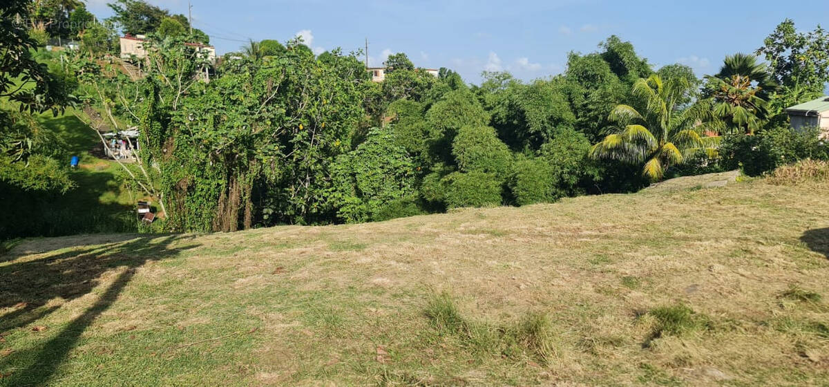 Terrain à FORT-DE-FRANCE