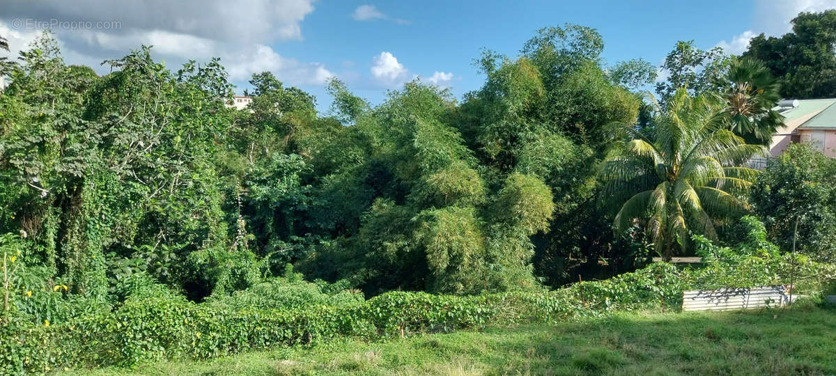 Terrain à FORT-DE-FRANCE