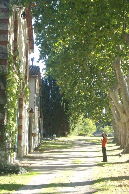 Maison à SAINT-REMY-DE-PROVENCE