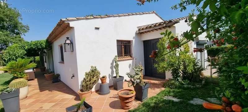 Maison à ROQUEBRUNE-SUR-ARGENS