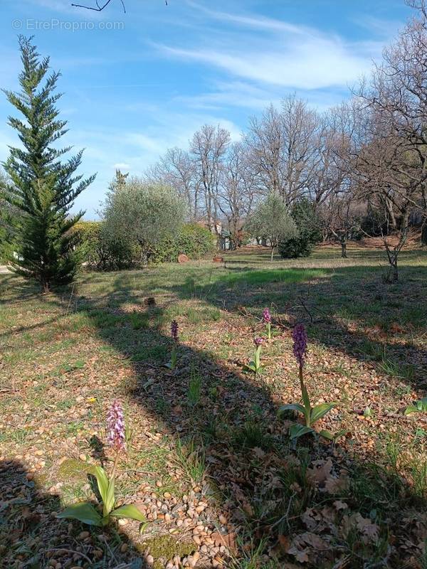 Terrain à ROCHEFORT-DU-GARD