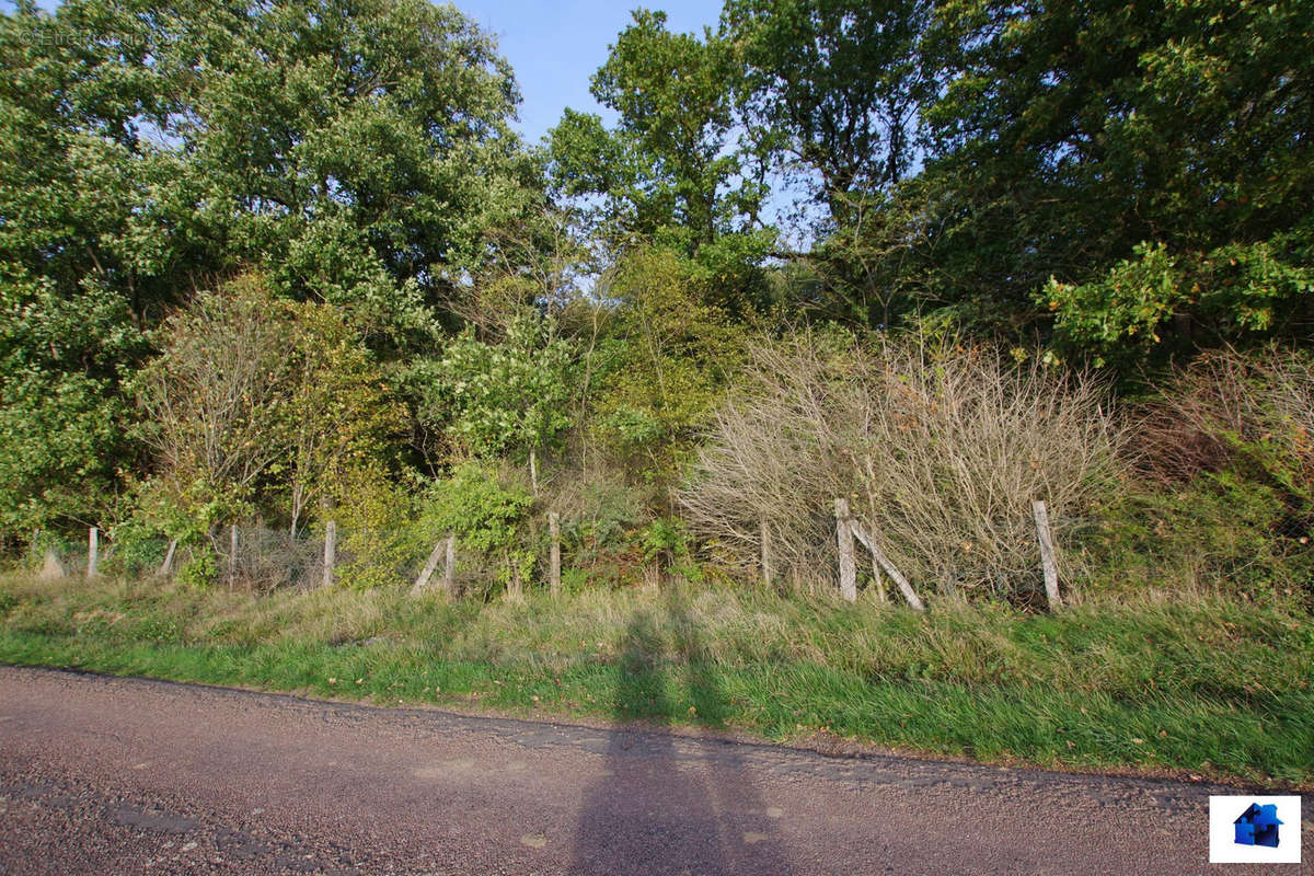 Terrain à SAINT-GERMAIN-DES-PRES