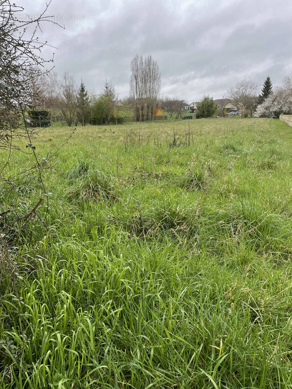 Terrain à CHATILLON-SUR-LOIRE