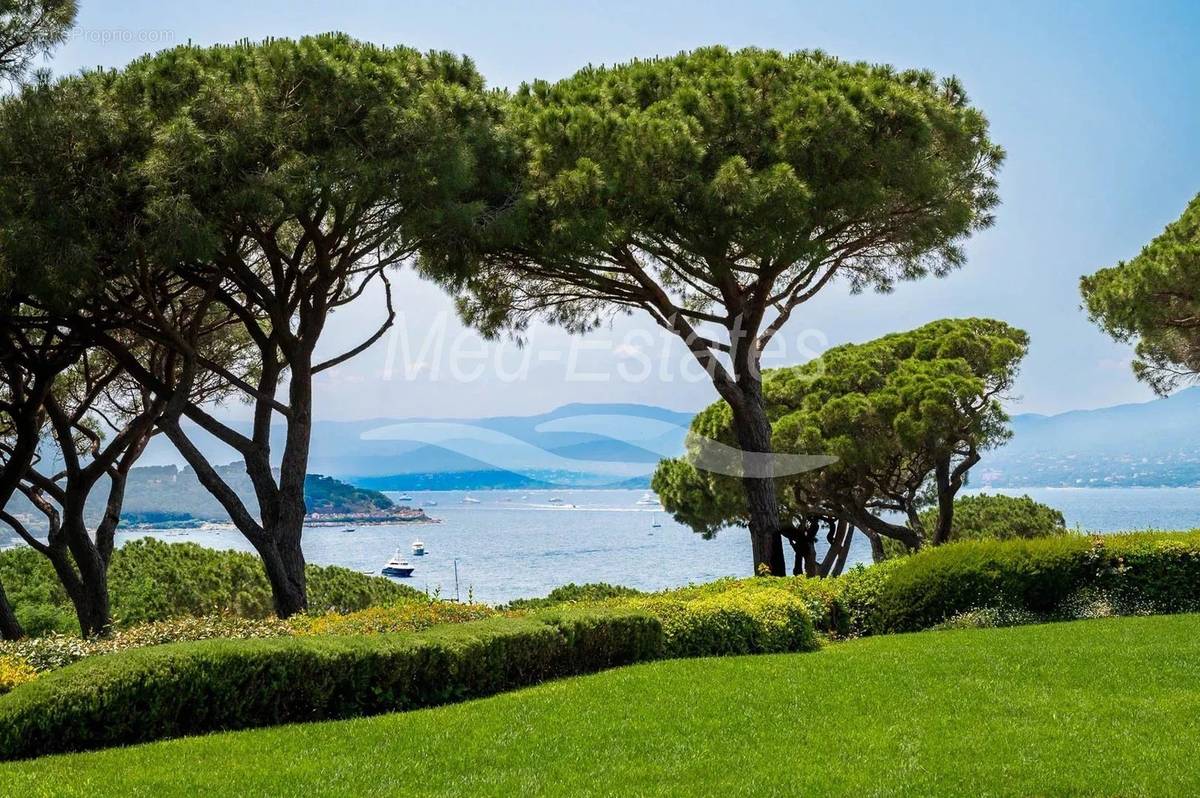 Maison à SAINT-TROPEZ